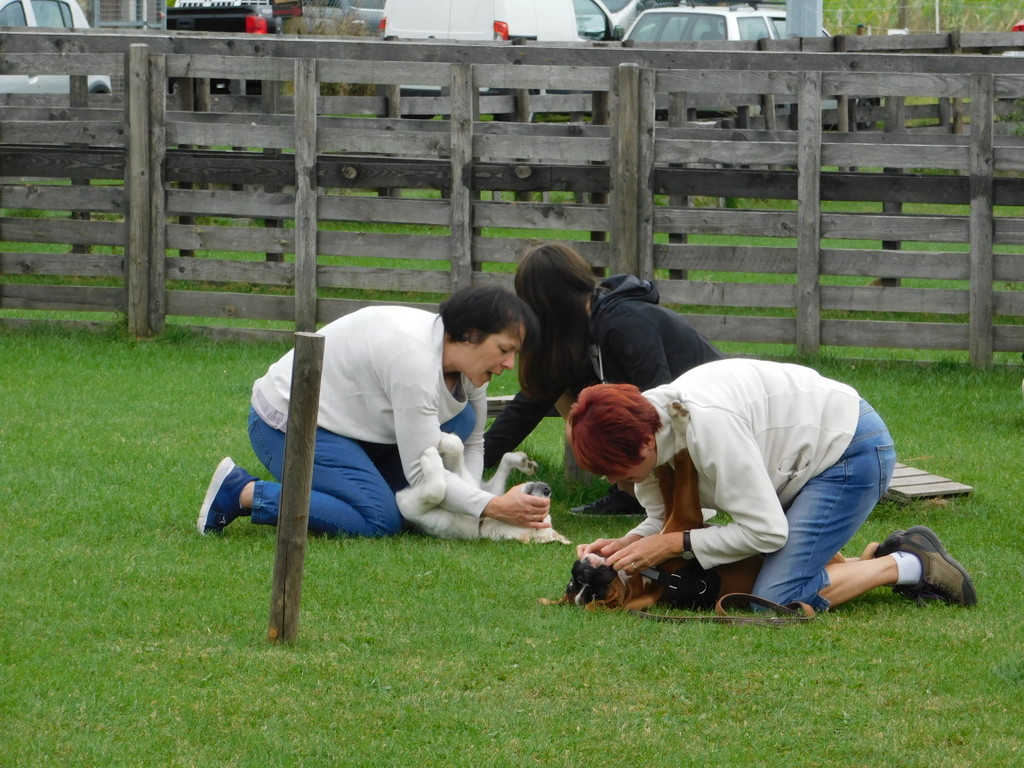 DSCN0297