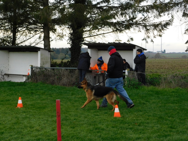 DSCN0959