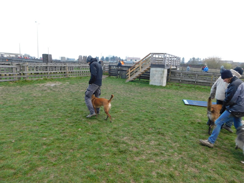 DSCN1476