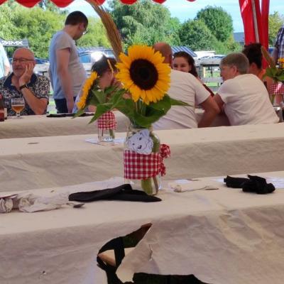 Img 20230819 172037