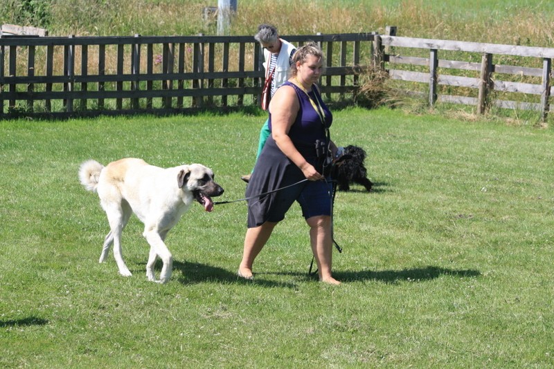 Img 5524