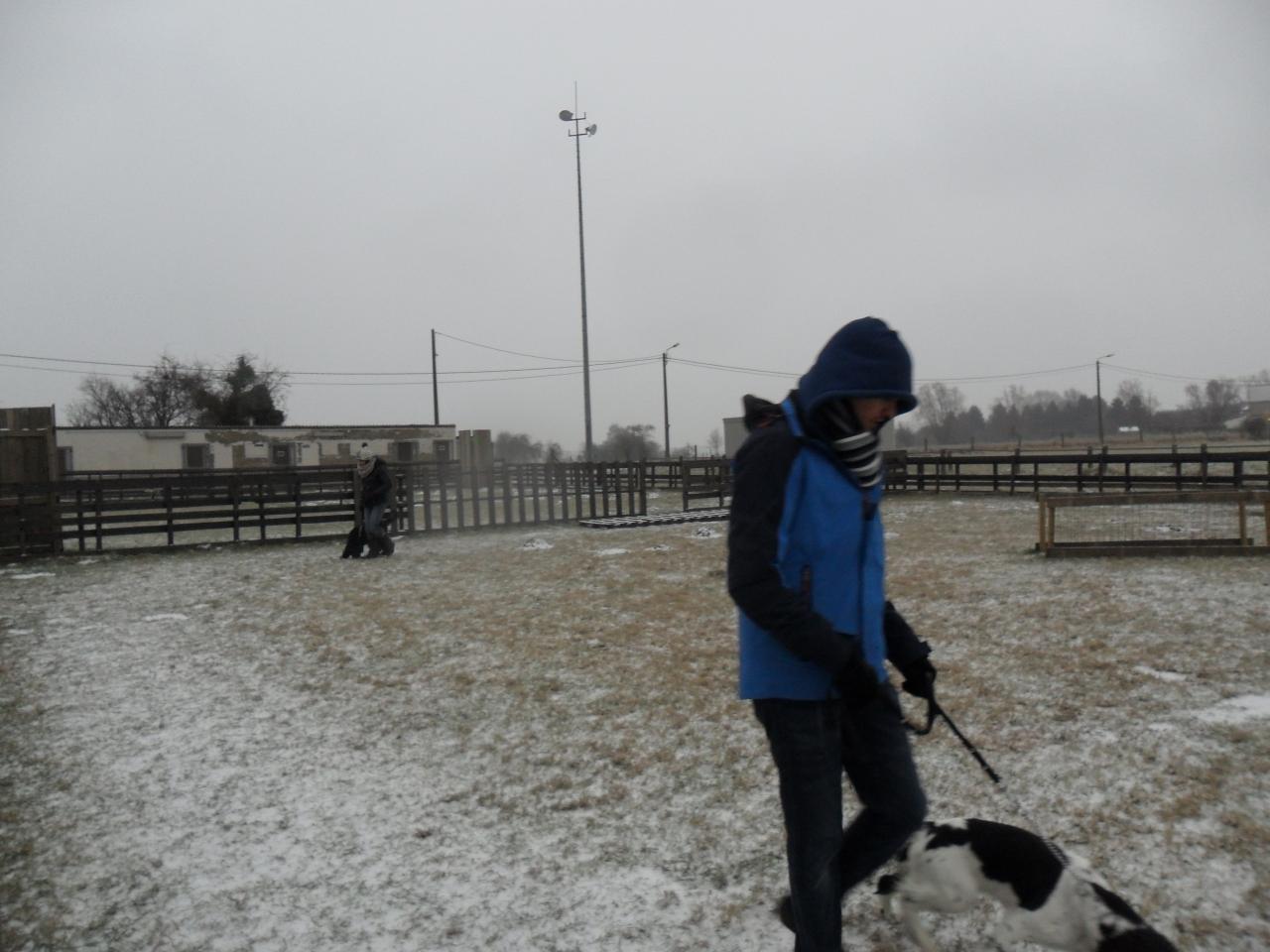 SAM_2454