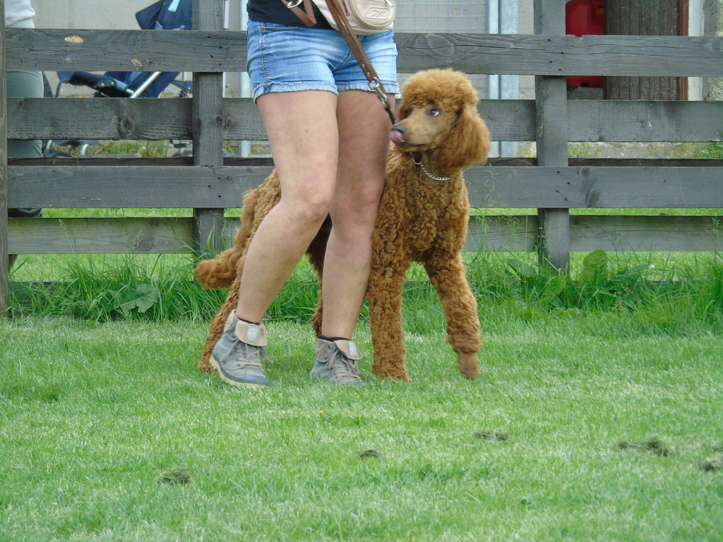 DSC06599