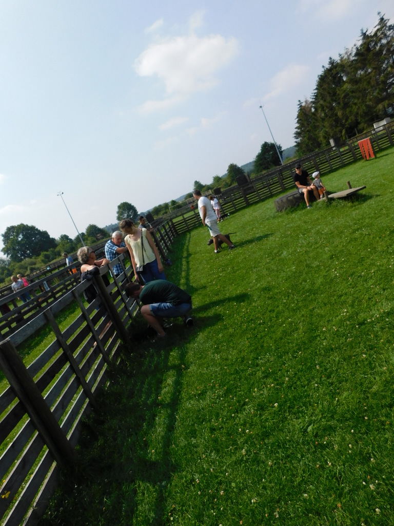 DSCN0577