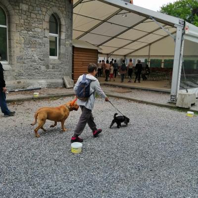 Promenade Maredsous Mai 2019