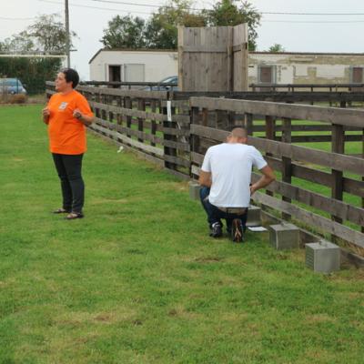 DEMO CHIENS DE SECURITE