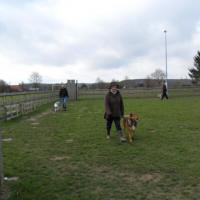 SAM_1621