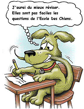 Chien20examen